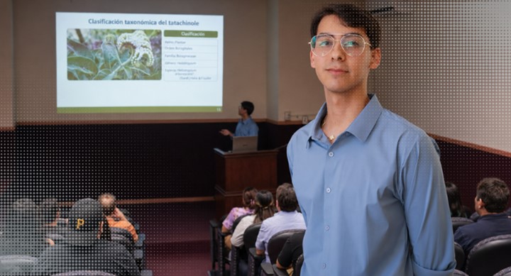 Estudiante de la UAS investiga potencial del tatachinole contra cálculos renales