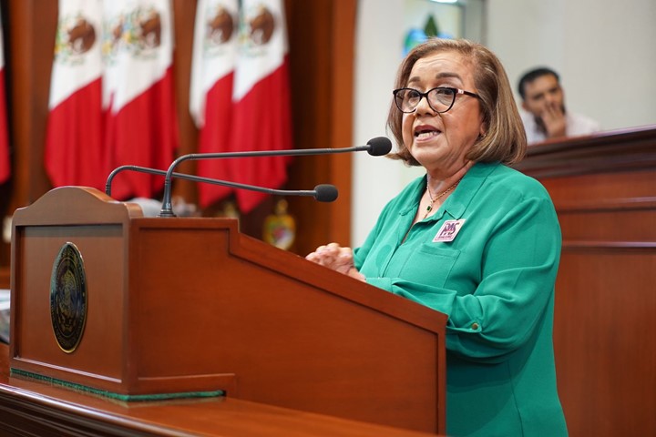  Más de mil iniciativas se encuentran en la “congeladora” del congreso: diputada Alba Montes